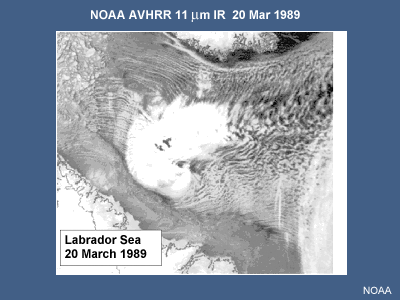 NOAA AHHRR IR 20 March 1989 showing a polar low in  the Labrador Sea
